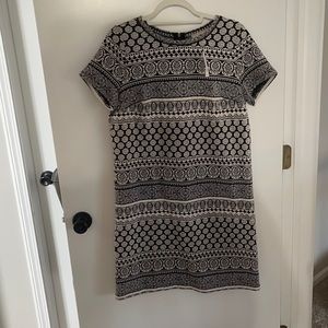 Loft Shift Dress NWT